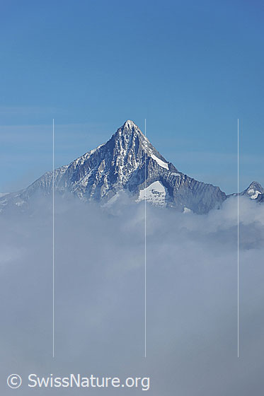 Foto: Bietschhorn. Die Pyramide ragt aus einer Wolkendecke.