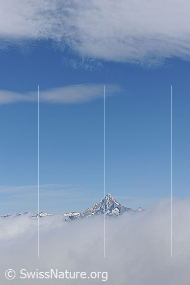 Foto: Bietschhorn über Wolkendecke.