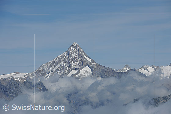 Foto: Bietschhorn ragt aus Wolkenmeer.