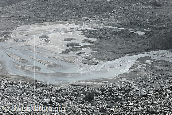 Foto: Wasser im Gletschervorfeld des Schwarzberggletschers. Der Gletscherbach umfliesst Sandbänke und Geröllfelder in der urtümlichen Landschaft.