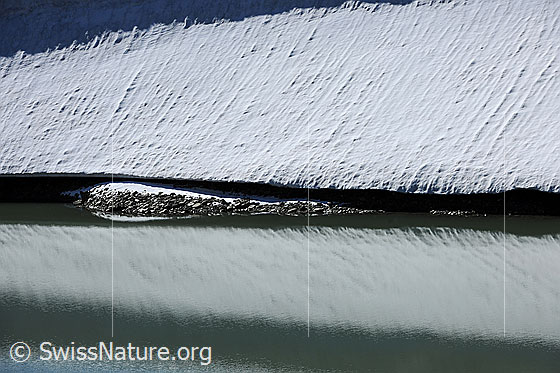 Foto: Schneerest mit Spiegelung im Wasser.