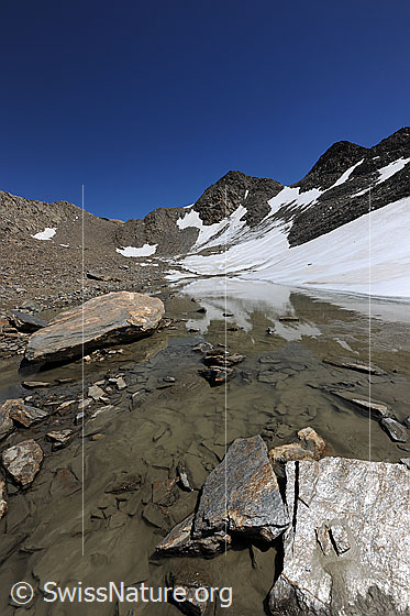 Foto: Wasser und Felsplatten im Gletschervorfeld. Die Berglandschaft mit Schneefeldern spiegelt sich im Wasserlauf.