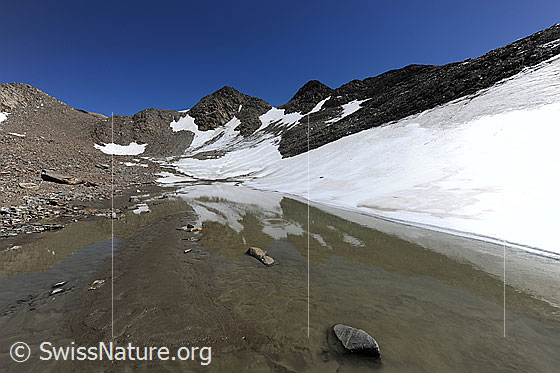 Foto: Gletschervorfeld mit Spiegelung der Berglandschaft mit Schneefeldern in einem kleinen Bergsee. Im Vordergrund sind Sandablagerungen zu sehen.