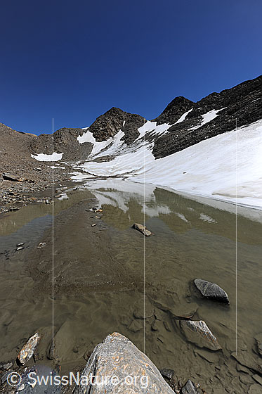 Foto: Spiegelung im Schmelzwasser. Die Berglandschaft mit Schneeresten spiegelt sich in einem kleinen Bergsee, in welchem sich Sand abgelagert hat.
