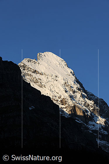 Foto: Gipfel des Eiger im Morgenlicht.