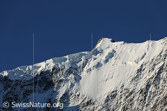 Foto: Gross Fiescherhorn (Nordwand).