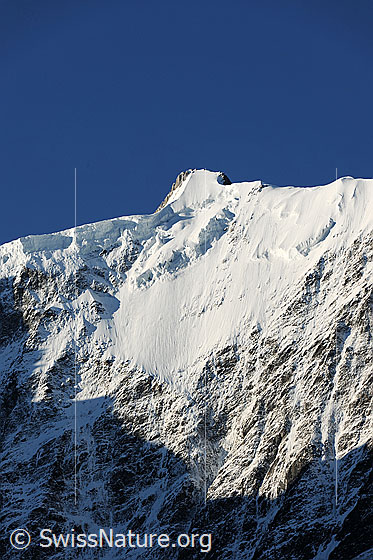 Foto: Gross Fiescherhorn (Nordwand).