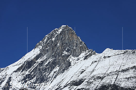 Foto: Eiger von E