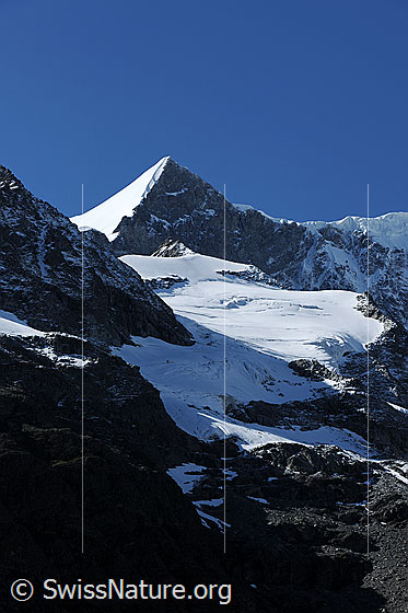Foto: Ochs (Klein Fiescherhorn) mit sonnenbeschienener Firnflanke. 
Berglandschaft mit Licht und Schatten.