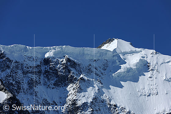 Foto: Hängegletscher und Gipfel des Gross Fiescherhorn.