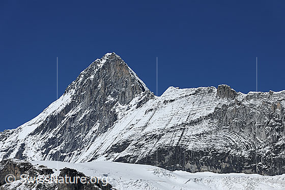 Foto: Eiger von E und Mittellegi.
Am Fusse der Felswände des Mittellgeigrats verläuft der Challifirn.
