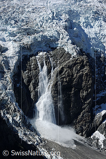 Foto: Eislawine Fieschergletscher (Grindelwald). Im Gletscherabbruch hat sich ein Eisschlag gelöst und donnert als Eislawine über die Felswand.