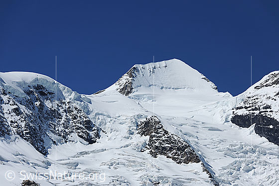 Foto: Mönch von E und Gletscherlandschaft Obers Ischmeer.