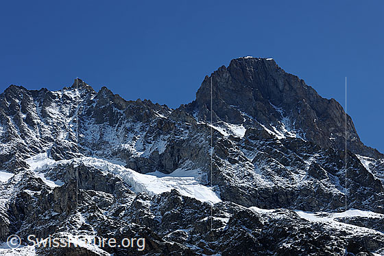 Foto: Schreckhorn von W. Links das Nässihorn und der Nordwestgrat (Andersongrat). Rechts der Südwestgrat (Normalroute).