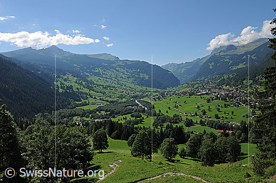 Foto: Grindelwald mit Männlichen.