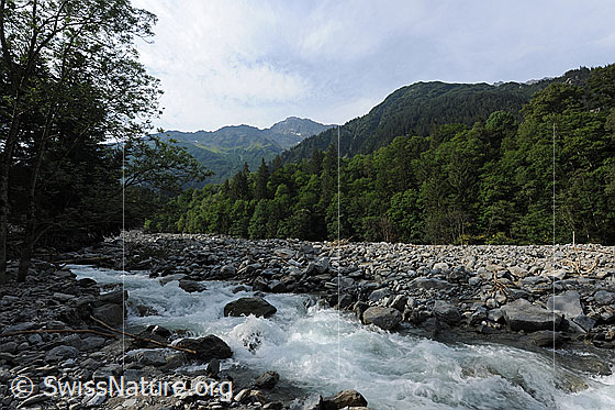 Foto: Durch Murgang aufgefülltes Flussbett. Geschiebe im Flussbett der Aare bei Hohfluh, Guttannen. Die Murgänge aus dem Spreitbachgraben (Spreitgraben, Spreitlauigraben, Grimselpass) füllten das Aarebett mit Gesteinsmaterial in der Höhe von mehr als 10 Metern auf. Der Fluss fand anschliessend einen neuen Weg in den Geröllmassen.