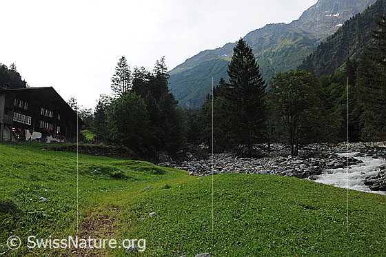 Foto: Naturgefahr Murgang. Aufgefülltes Flussbett durch Murgänge des Spreitgraben (Spreitlauigraben), Guttannen am Grimselpass. Das Bett der Aare wurde mit Gesteinsmaterial in kurzer Zeit aufgefüllt und weist eine Höhe von mehr als 10 Metern auf. Das Haus, welches nun beinahe am Ufer steht, ist bei weiteren Murgängen oder Lawinen gefährdet.