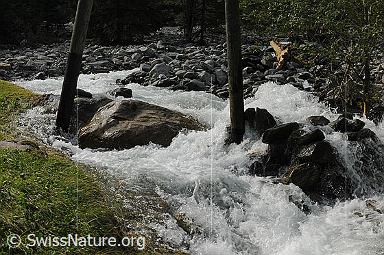 Foto: Naturgewalt. Durch den Murgang im Spreitgraben (Spreitlauigraben, Grimselpass) aufgefülltes Flussbett der Aare bei Hohfluh. Die Strommasten stehen nun mitten im neuen Flusslauf.