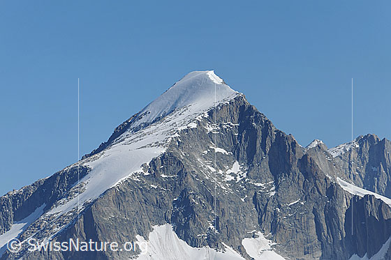 Foto: Galenstock (Sommeraufnahme). Bergpyramide mit Firnfeld.