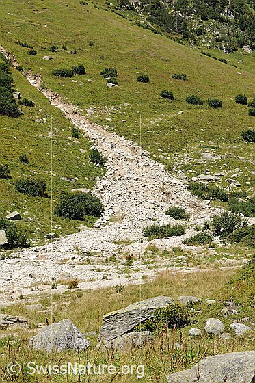 Foto: Kleiner Murgang in Gletsch, Wallis. Geröll und Erde haben sich in den Talboden von Gletschbode ergossen.