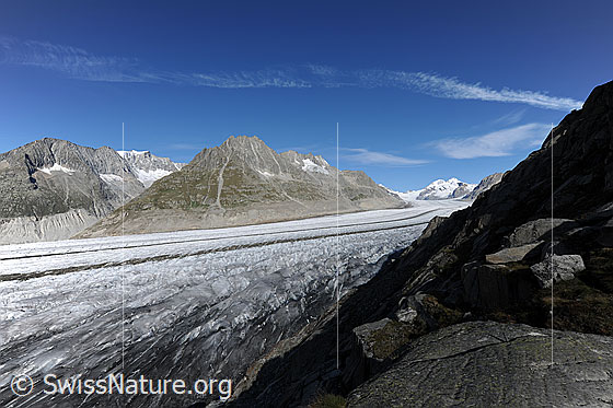 Foto: Aletschgletscher von Platta. Blick über den Grossen Aletschgletscher zu Zenbächenhorn, Geisshorn, Olmenhorn, Dreieckhorn, Mönch und Trugberg.
