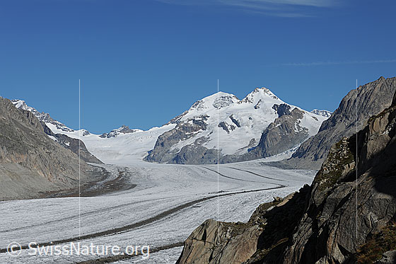 Foto: Jungraujoch, Mönch und Trugberg. Davor ist der Grosse Aletschgletscher zu sehen. Im Gletscherstrom sind die Mittelmoränen deutlich sichtbar.
