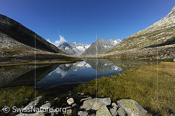 Foto: Spiegelung der Berge im See. Kleiner, spiegelnder Bergsee in der Aletschregion. Am Ufer sind Steine und Gras zu sehen.
Gipfel: Zenbächenhorn, Geisshorn, Olmenhorn und Dreieckhorn.