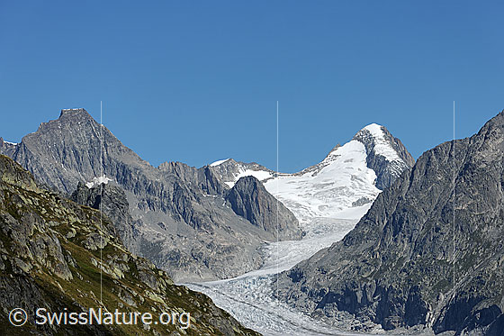 Foto: Finsteraarrothorn, Fieschergletscher und Oberaarhorn.