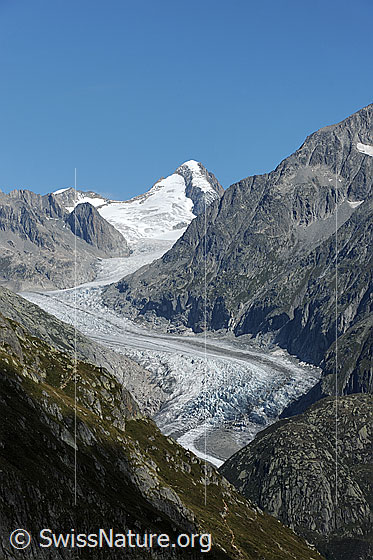 Foto: Fieschergletscher. Blick über den Gletscherstrom zum Oberaarhorn.