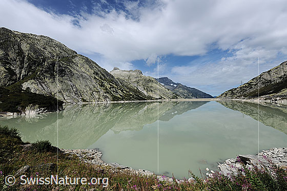 Foto: Symmetrische Spiegelung im Stausee. Alplistock und Ritzlihorn spiegeln sich im Räterichsbodensee und lassen interessante Muster und Formen entstehen.