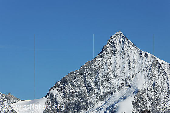 Foto: Weisshorn von SSE.
Links Schalijoch und Schaligrat, rechts der E-Grat (Normalroute).