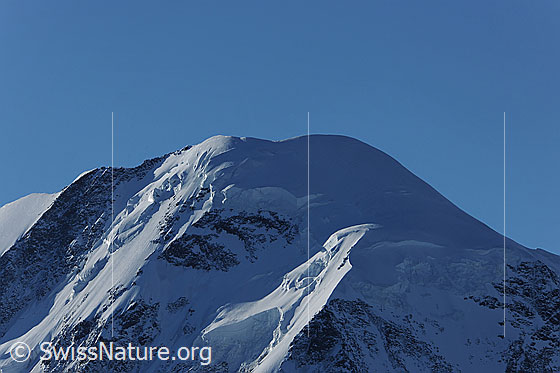 Foto: Gipfel des Liskamm.