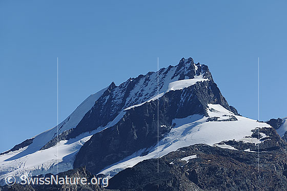 Foto: Rimpfischhorn.