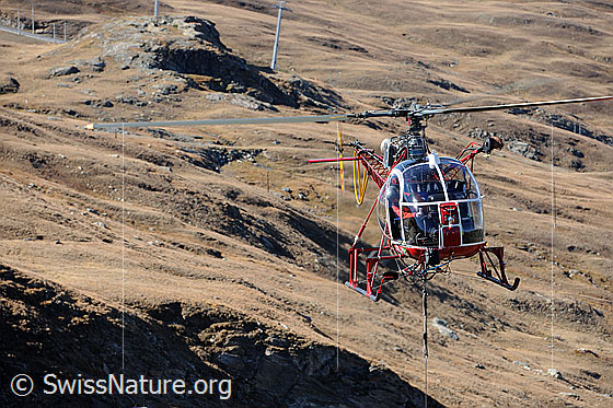 Foto: Arbeitsgerät Helikopter. Der Pilot hält die Maschine im Schwebeflug und schaut nach unten, um die Last präzise zu deponieren.