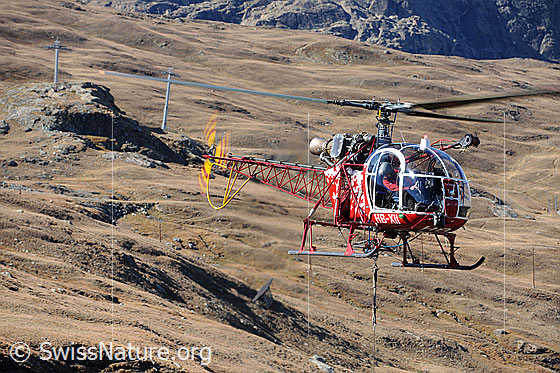 Foto: Helikopter im Schwebeflug beim Entladen der am Seil hängenden Last.