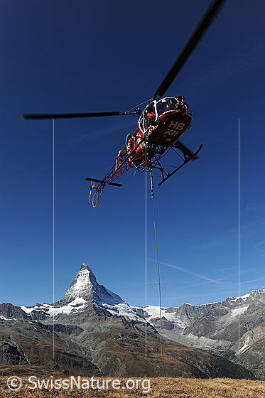 Foto: Helikopter der Air Zermatt beim Ausführen eines Transportflugs zu einer Gebirgsbaustelle. Im Hintergrund ist das Matterhorn zu sehen.