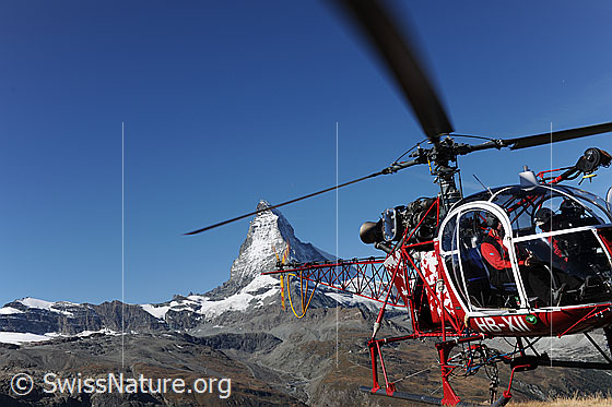 Foto: Helikopter der Air Zermatt vor Matterhorn.