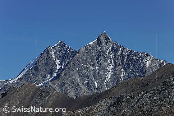 Foto: Dom und Täschhorn