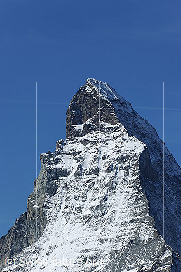 Foto: Matterhorn Gipfelportrait
