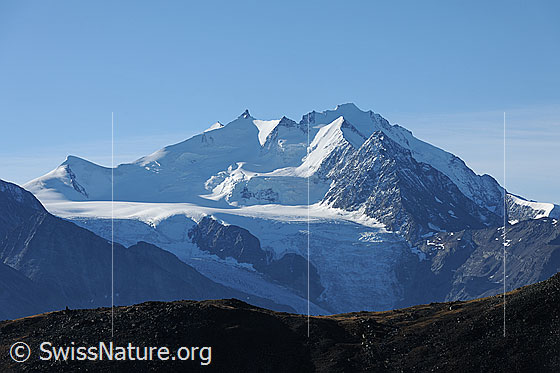 Foto: Mischabelgruppe und Riedgletscher
Gipfel: Ulrichshorn, Nadelhorn, Stecknadelhorn, Hohberghorn, Dom und Dürrenhorn.