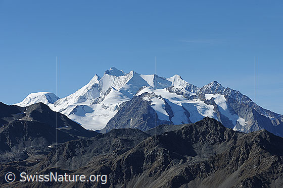 Foto: Mischabelgruppe vom Spitzhorli.
Mischabelgruppe vom Spitzhorli.
Gipfel: Alphubel, Täschhorn, Dom, Nadelhorn, Stecknadelhorn, Hohberghorn, Dürrenhorn
Gletscher: Bidergletscher, Balfringletscher