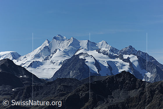 Foto: Mischabelgruppe vom Spitzhorli.
Gipfel: Täschhorn, Dom, Nadelhorn, Stecknadelhorn, Hohberghorn, Dürrenhorn
Gletscher: Bidergletscher, Balfringletscher
