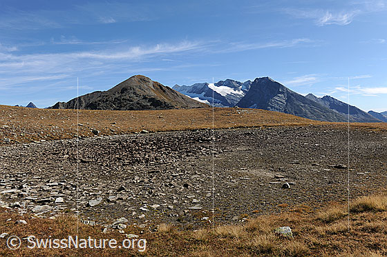 Foto: Ausgetrockneter Bergsee und Fletschhorn im Hintergrund.