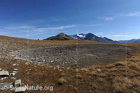 Foto: Trockenheit. Ausgetrockneter Bergsee auf Hochebene mit Fletschhorn im Hintergrund.
