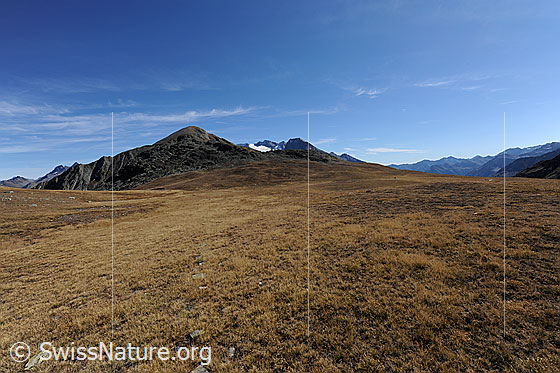 Foto: Weite Ebene. Die Hochebene ist mit Gras bewachsen und herbstlich gefärbt.