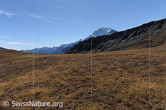 Foto: Hochebene im Herbst. Blick über die herbstliche Hochebene zum Fletschhorn.