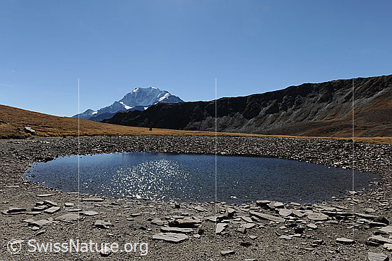 Foto: Trockenheit in den Alpen. Blick über die flache Alpweide auf den fast ausgetrockneten Bergsee (Undre Rossusee) und zum Fletschhorn.