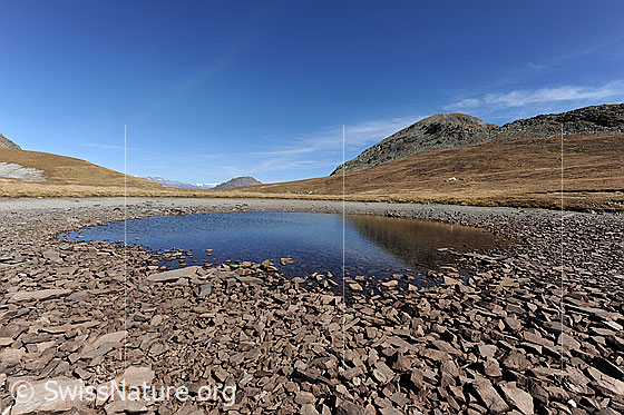 Foto: Bergsee bei Trockenheit im Herbst. Blick über die Weite der Hochebene mit Undre Rossusee, welcher von Steinen und Alpweiden umgeben ist. Der See ist beinahe ausgetrocknet.