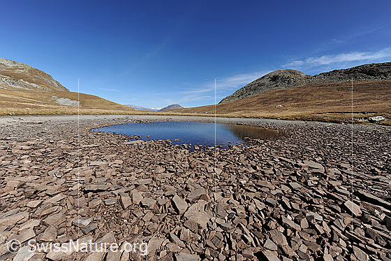 Foto: Weite Ebene mit beinahe ausgetrocknetem See. Blick über die Hochebene mit Undre Rossusee, welcher von zahlreichen kleinen Felsplatten und von Alpweiden umgeben ist.