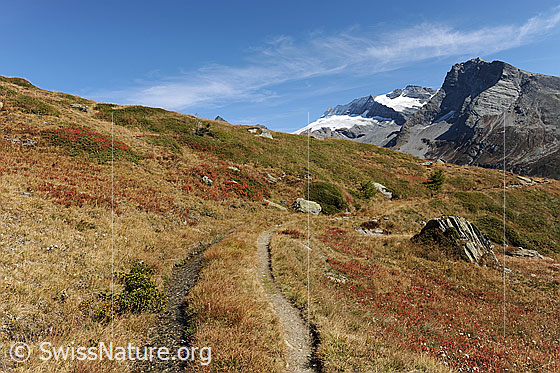 Foto: Suone neben Bergweg in herbstlicher Berglandschaft.